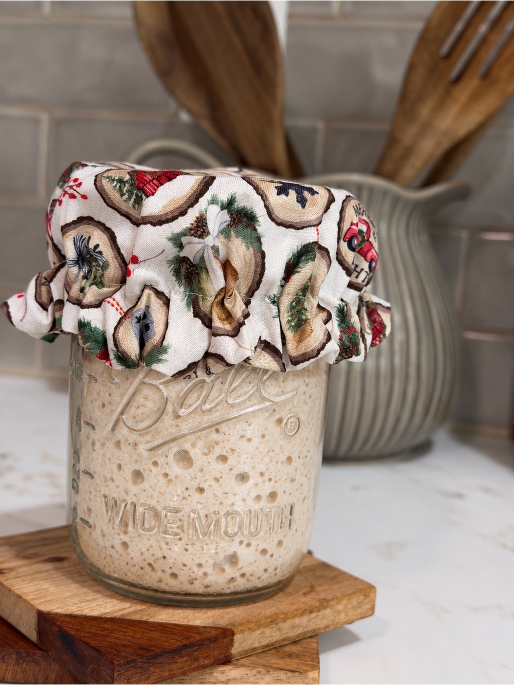 Christmas Fabric Jar Cover